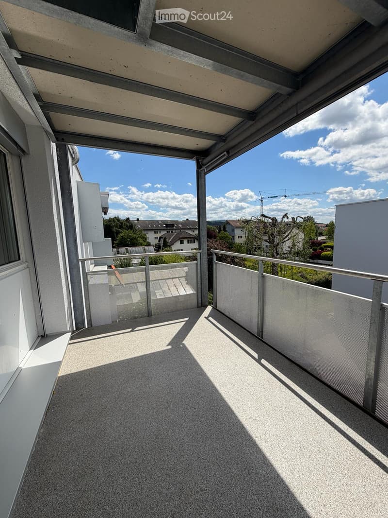 Modern balcony with a concrete floor, metal railings, and a glass screen, overlooking a residential area with houses and trees.