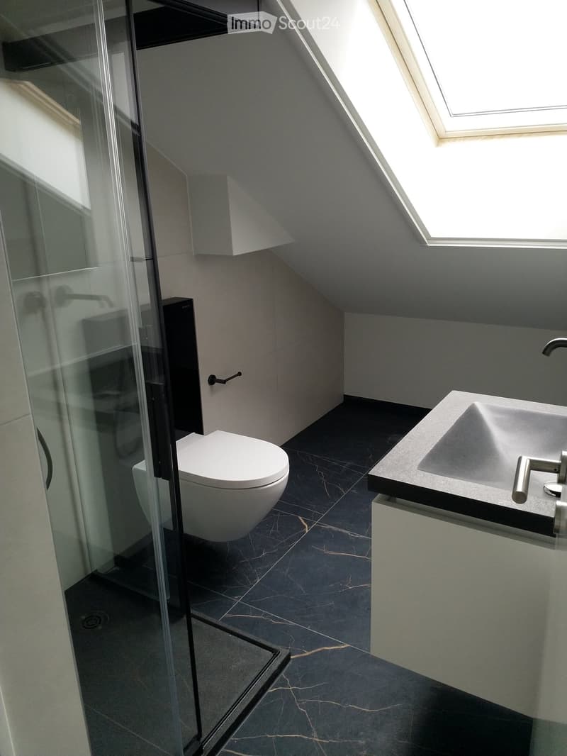 modern bathroom with white ceramic tiles, white toilet, glass shower, sink with granite countertop, skylight window