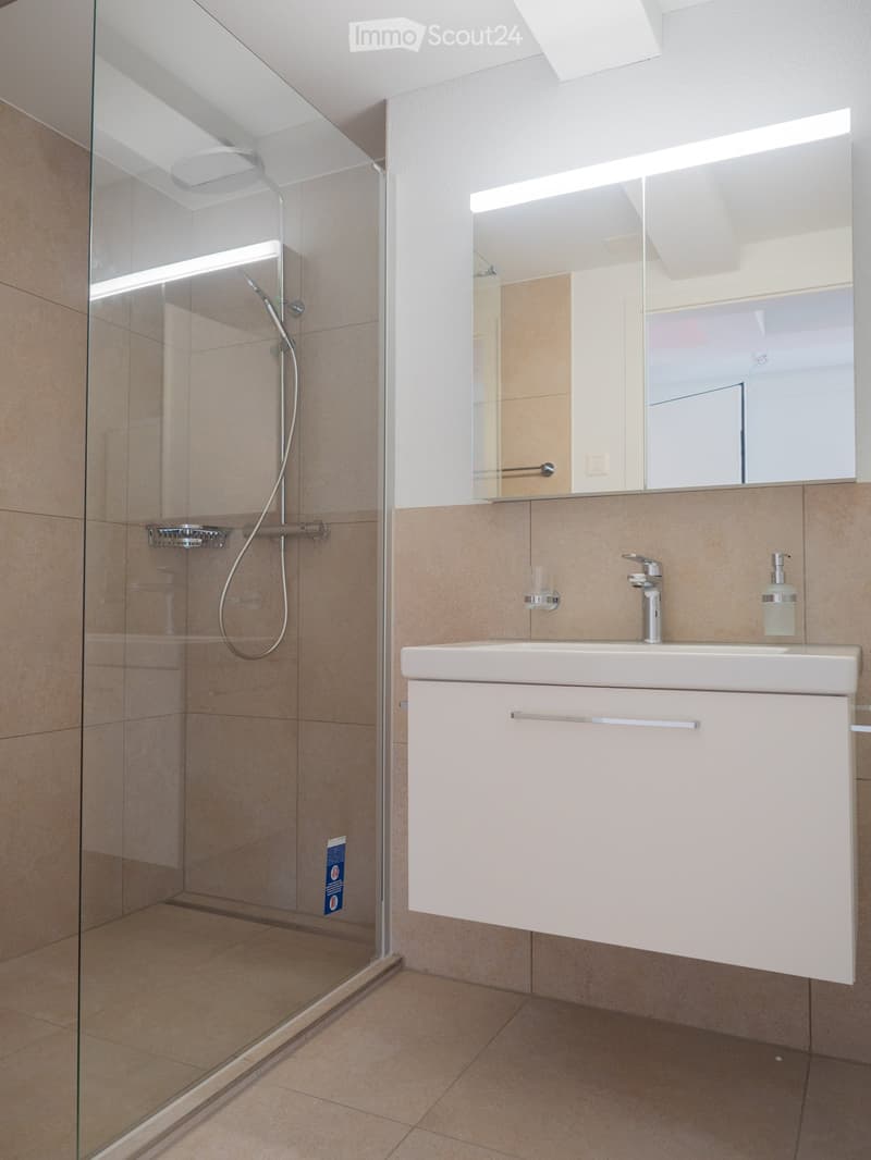 Modern bathroom with a glass-enclosed shower, a white sink with a modern faucet, a large mirror, and a built-in cabinet.