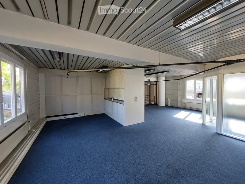 Empty room with blue carpet, white walls, and built-in cabinets. Large windows allow natural light to enter.