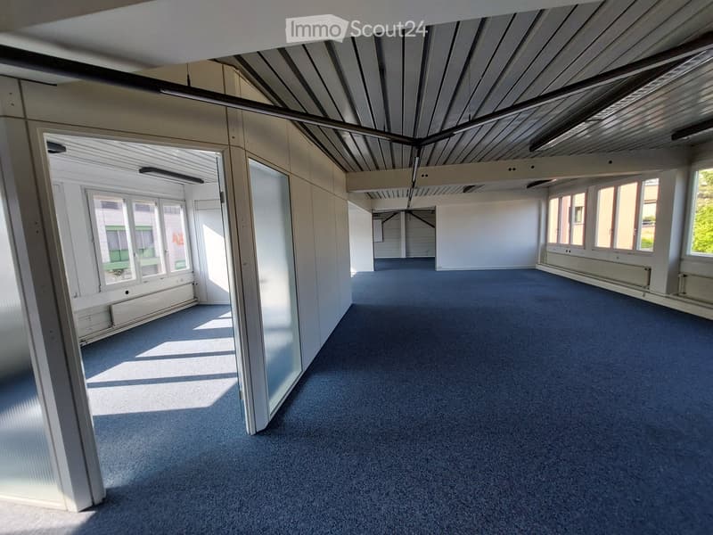 Empty room with blue carpet, white walls, large windows, and a glass partition, illuminated by natural light.