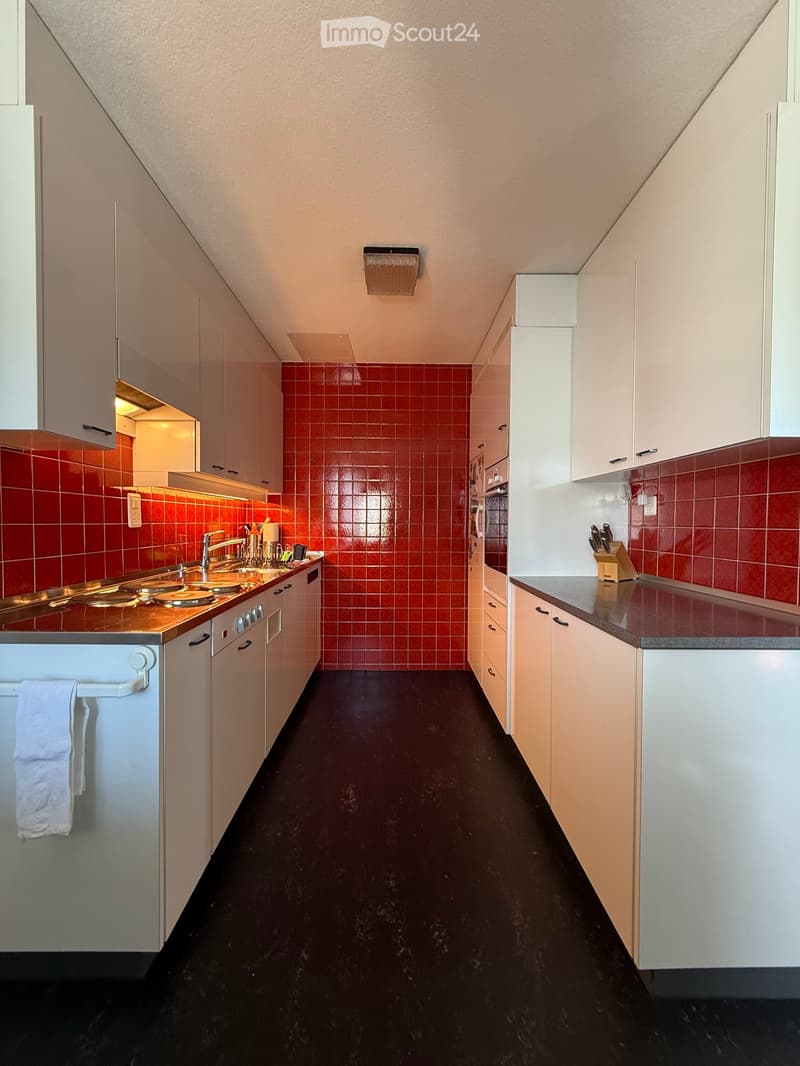 Modern kitchen with white cabinets, red tiled backsplash, dark flooring, stainless steel appliances, and a knife block on the counter.