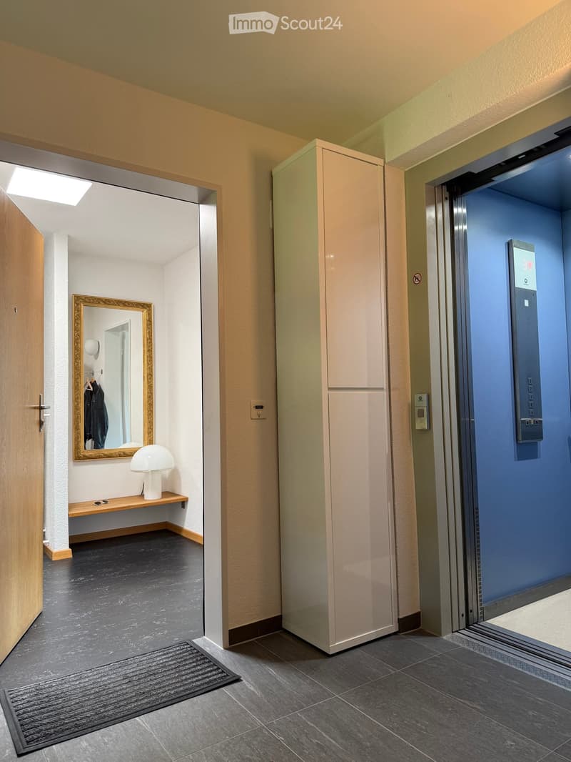 Hallway with elevator, small entryway with mirror, lamp, and coat rack, and a wooden door leading to another room.