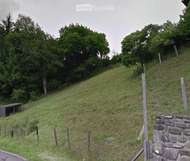 A grassy hillside surrounded by trees and a wooden fence, with a small shed on the left and a stone wall on the right.
