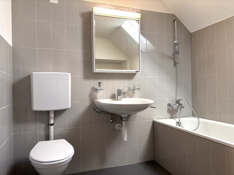 Bathroom with a toilet, bathtub, sink, mirror, and showerhead.