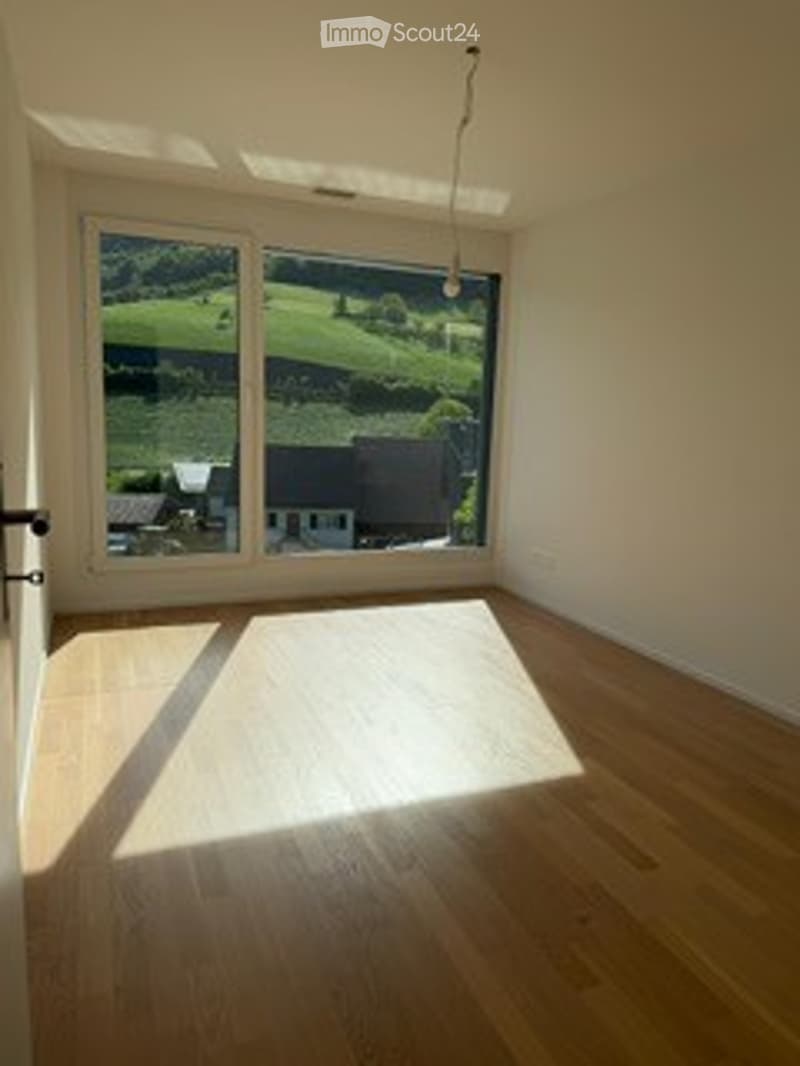 Maison familiale moderne Minergie avec vue à couper le souffle (6)