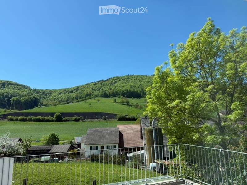 Maison familiale moderne Minergie avec vue à couper le souffle (3)