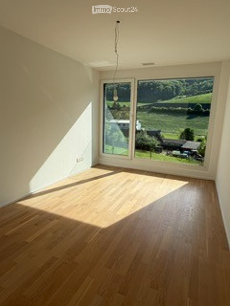 Maison familiale moderne Minergie avec vue à couper le souffle (7)
