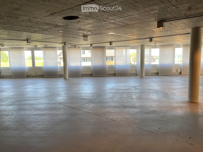 Empty room with concrete floor, large windows, and exposed wooden ceiling beams. No furniture or equipment present.