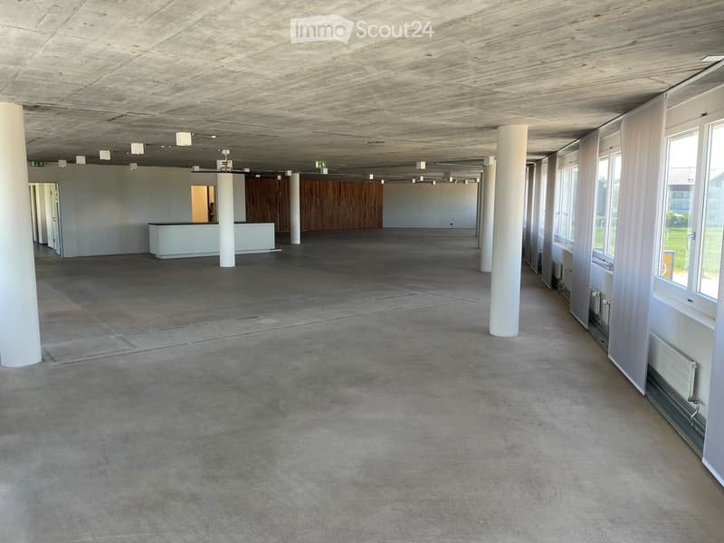 Empty room with concrete floor, white walls, large windows, and white pillars. No furniture or equipment present.