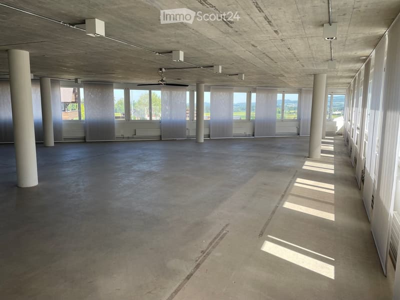 Empty room with concrete floor and ceiling, large windows with blinds, white pillars, and exposed ceiling beams.