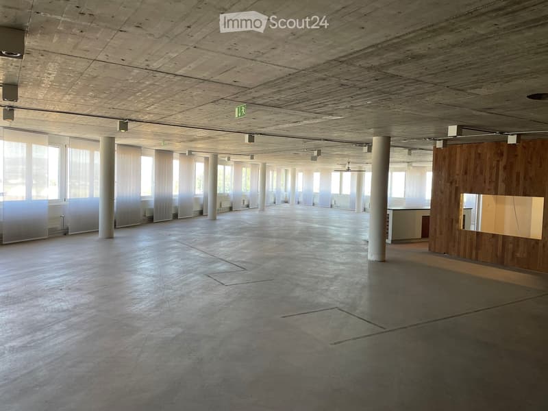 Empty room with concrete floor, large windows, white pillars, and a wooden partition with a mirror on the wall.