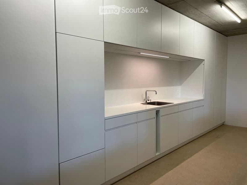 Modern kitchen with white cabinets, a sink, and a faucet, featuring a clean and minimalist design.