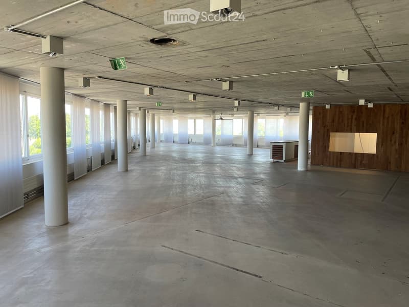 Empty, spacious room with concrete floors, large windows, and white columns. Minimalist design with no furniture or equipment.