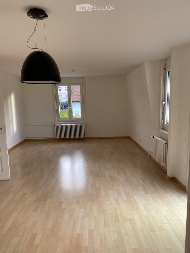 Empty room with light wooden flooring, white walls, and a large black pendant light fixture. Features include a door, a window with a view of a building, and radiators on both sides.