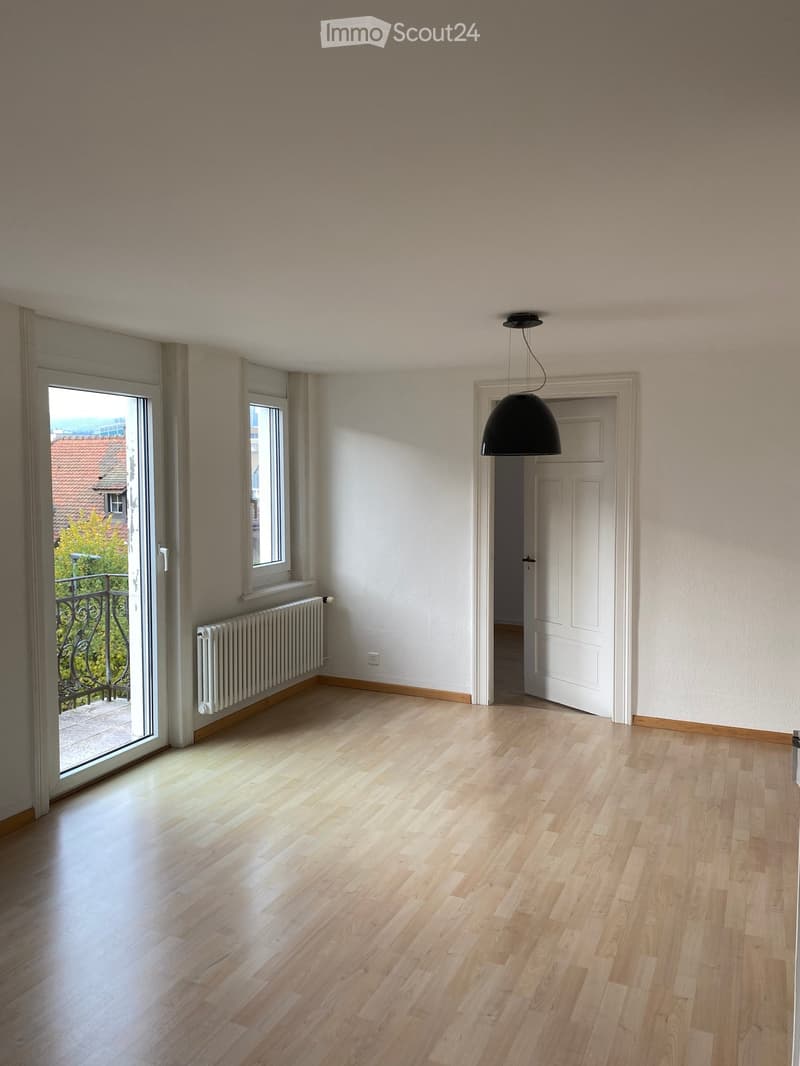 Empty room with light wooden flooring, white walls, a large window with a radiator, a black pendant light, and a door leading to another space.