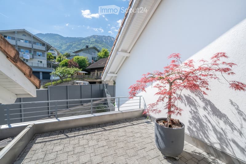 Tiled floor, metal railing, potted tree, view of mountains and buildings