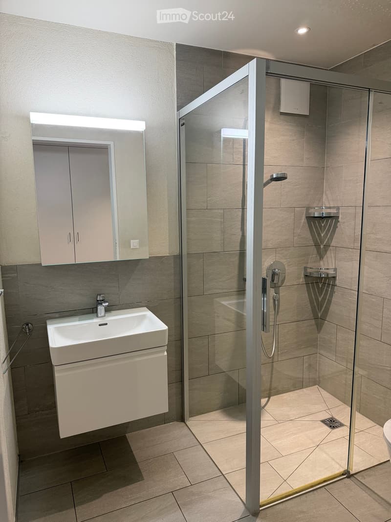 Modern bathroom with a white sink, mirror cabinet, and a glass-enclosed shower area.