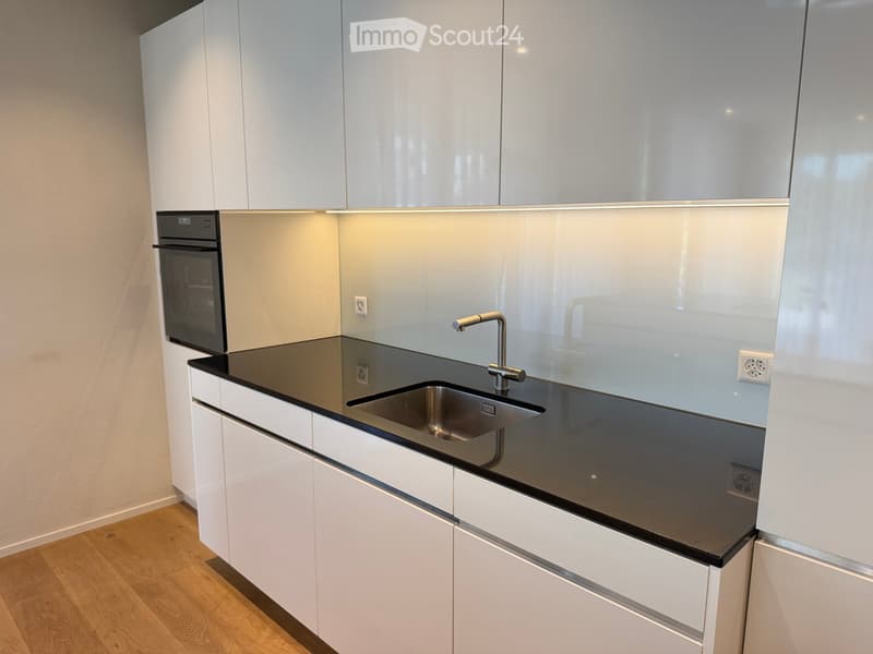 Modern kitchen with white cabinets, black countertop, stainless steel sink, and built-in oven.