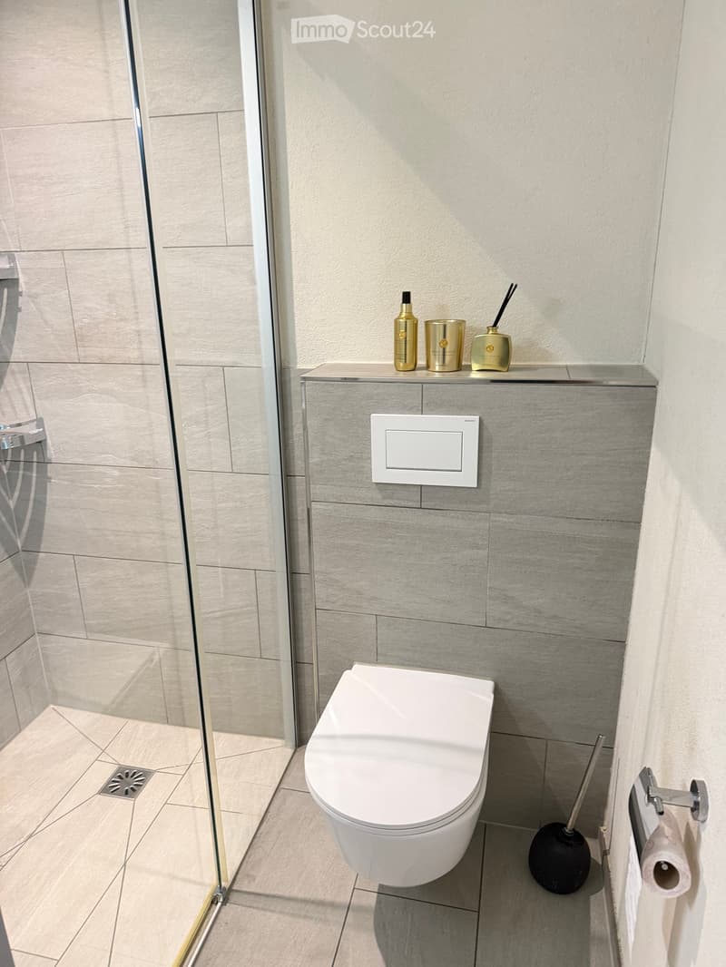 Modern bathroom with a white toilet, grey tiled walls, a glass shower enclosure, and decorative items on a shelf.