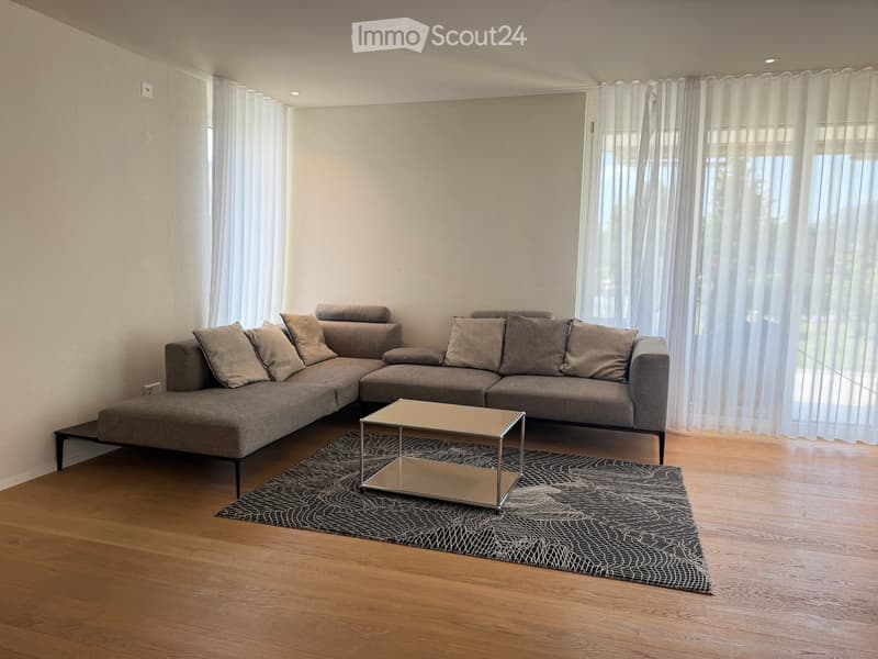Modern living room with a grey sectional sofa, a small metallic coffee table, and a patterned rug on a wooden floor. Large windows with sheer curtains provide natural light.
