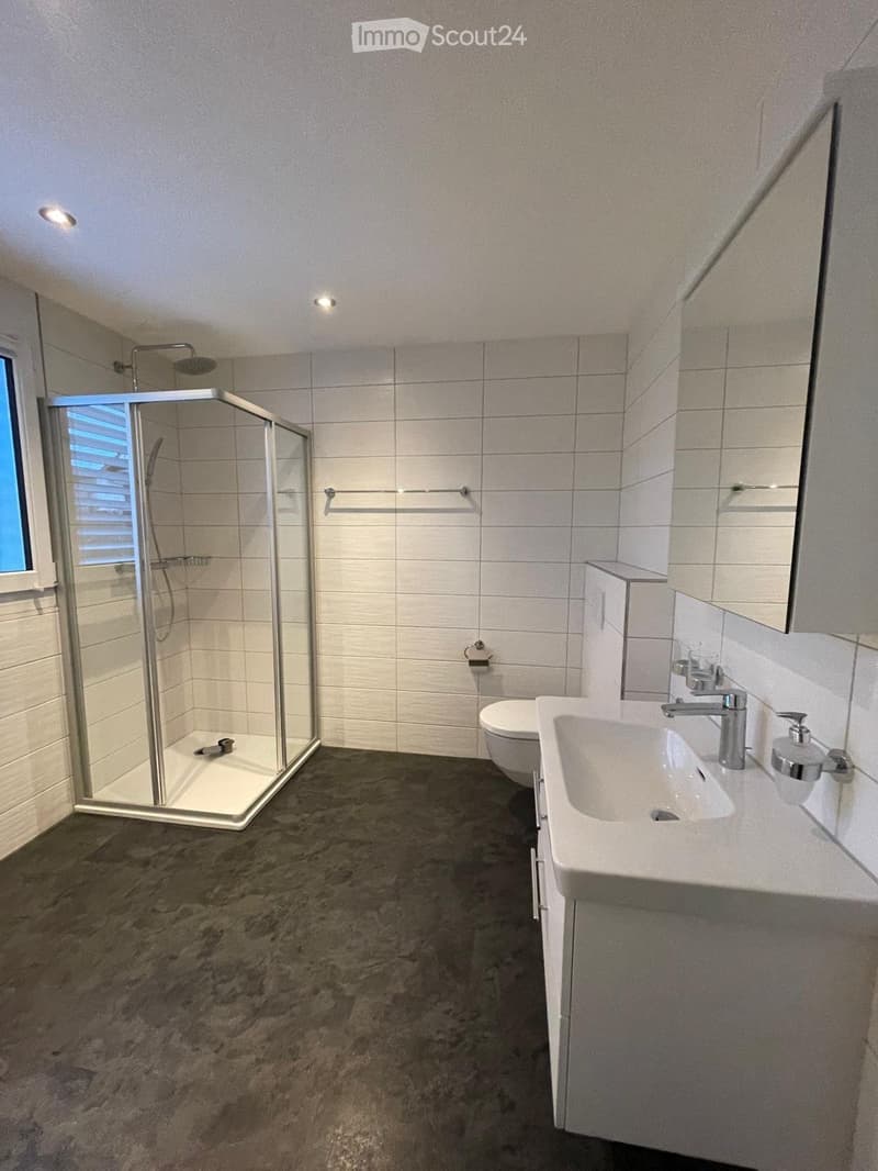 Modern bathroom with a white tiled shower enclosure, a white sink with a modern faucet, a toilet, and a large mirror above the sink. The floor is dark grey marble.