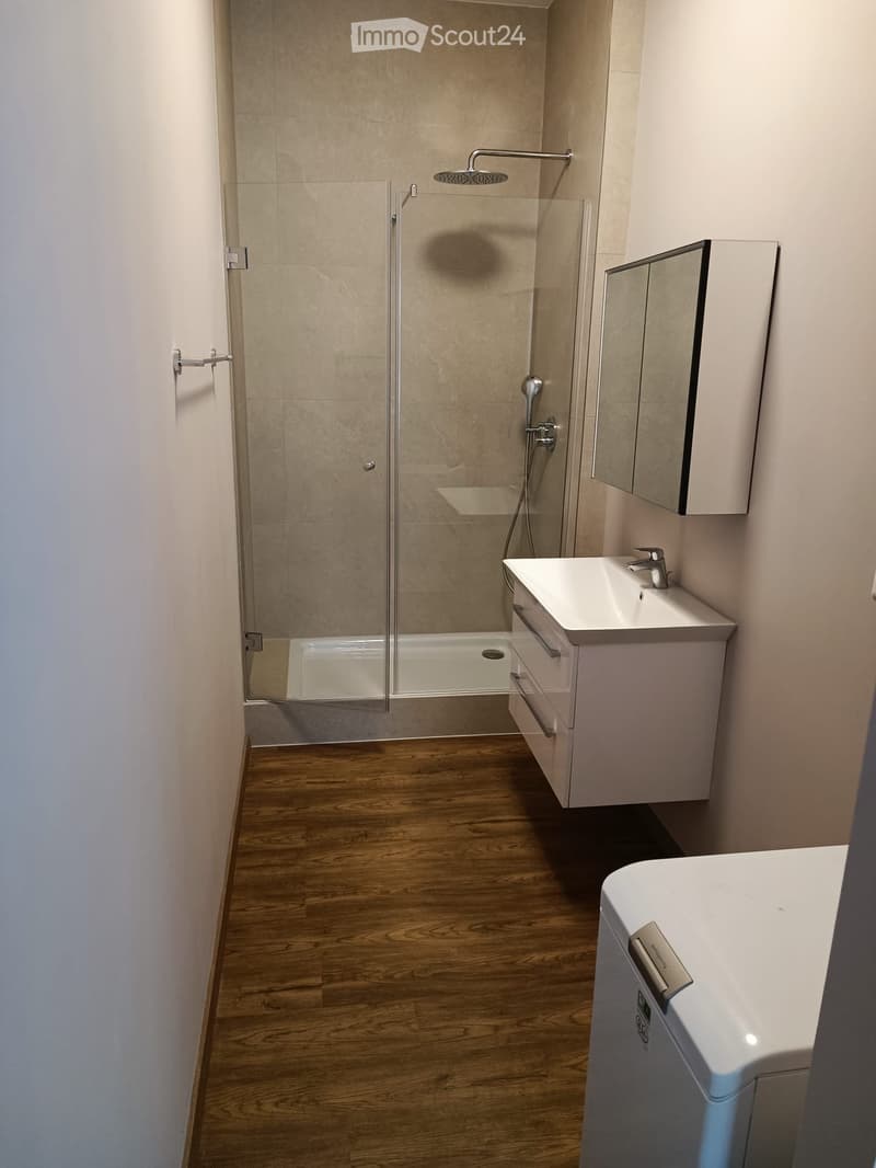 Modern bathroom with wooden flooring, a glass-enclosed shower, a white sink with a mirror cabinet, and a modern faucet.