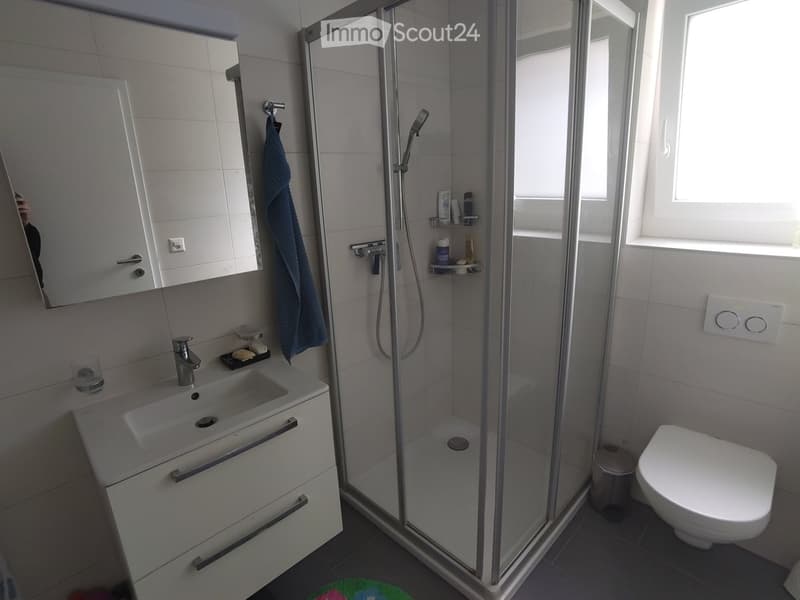 Modern bathroom with a white sink, mirror, cabinet, glass-enclosed shower, and toilet. Includes a towel, cup, and small shower shelf with toiletries.