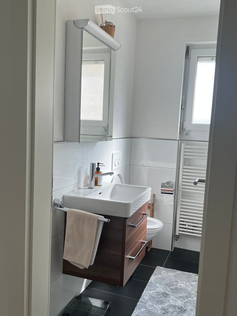 white sink, wooden cabinet, mirror, white tiles, white towel, black tiles, toilet, radiator