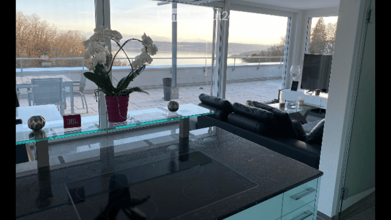 modern kitchen with large windows, balcony, couch, TV, flower vase, induction stove