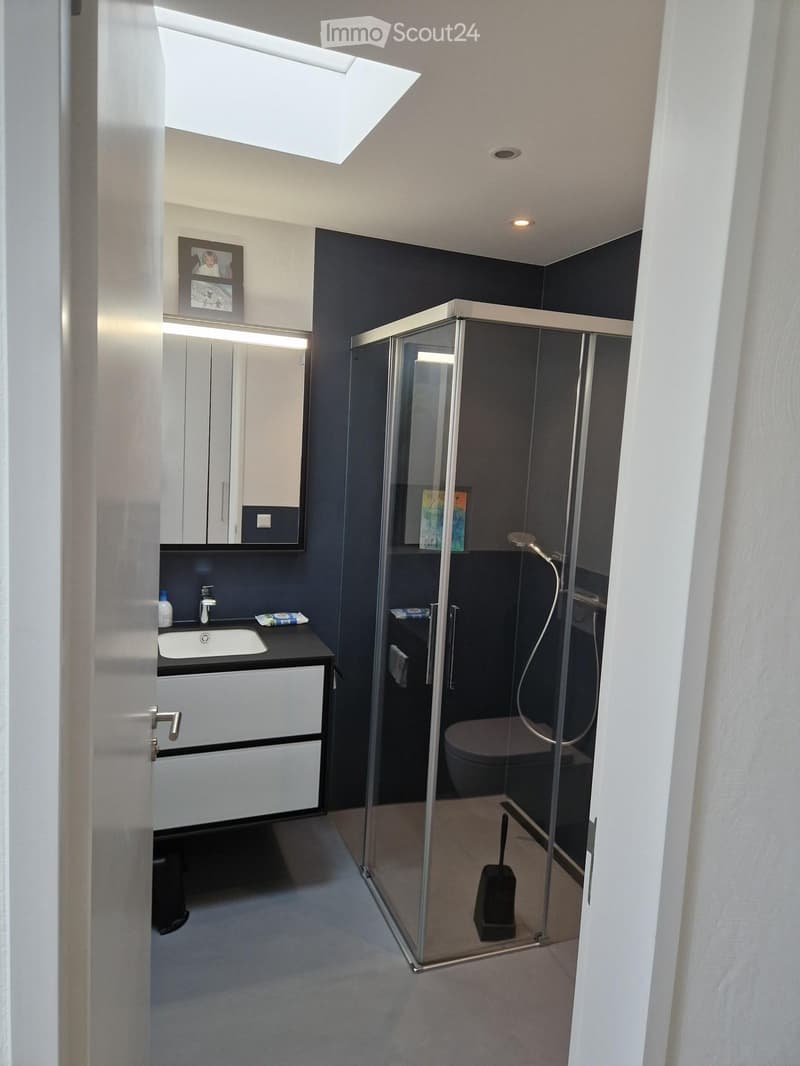Modern bathroom with dark walls, white cabinetry, glass shower enclosure, and a large skylight above the shower area.