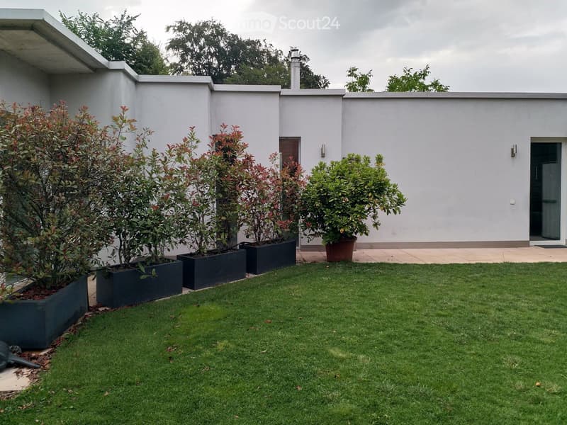 Well-maintained garden with a neatly trimmed lawn, several potted plants in rectangular planters, and a modern house in the background.