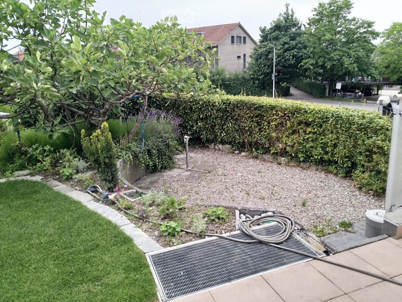 Well-maintained garden with a gravel pathway, neatly trimmed hedge, small plants, and a grassy area. A tree with lush foliage is visible, and a house with a red-tiled roof is in the background.