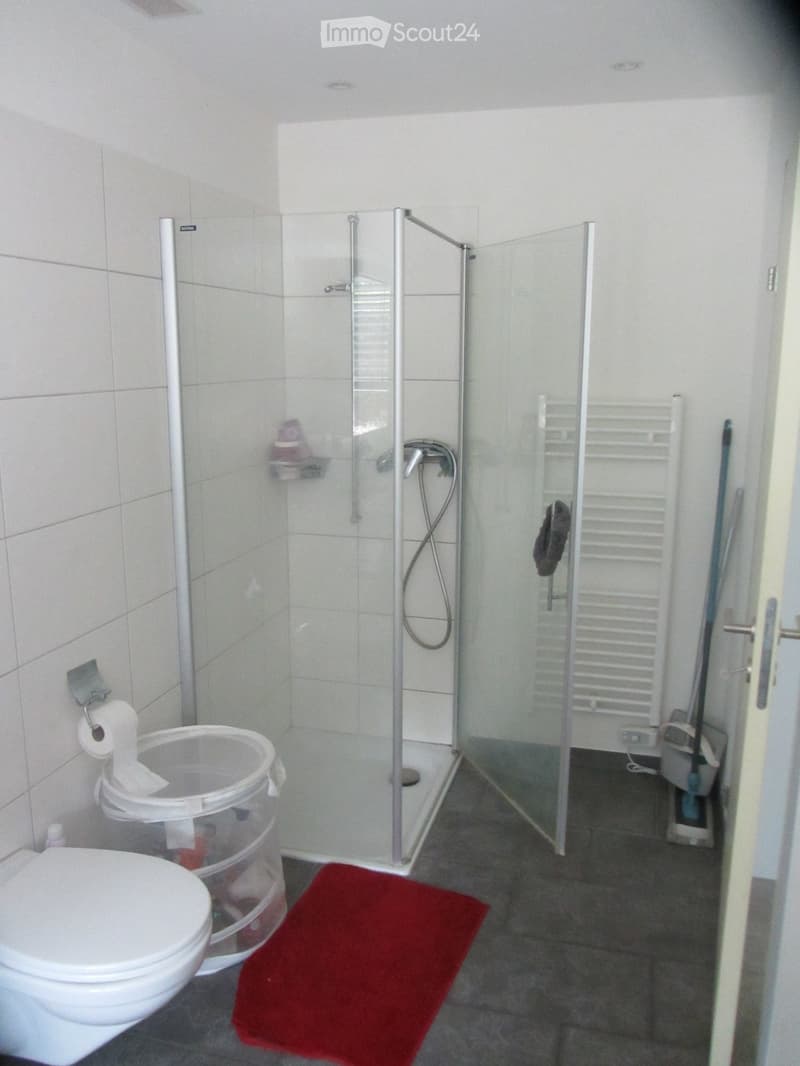 Bathroom. Modern bathroom with a glass-enclosed shower, toilet, towel rack, and a red bathroom rug on the floor.
