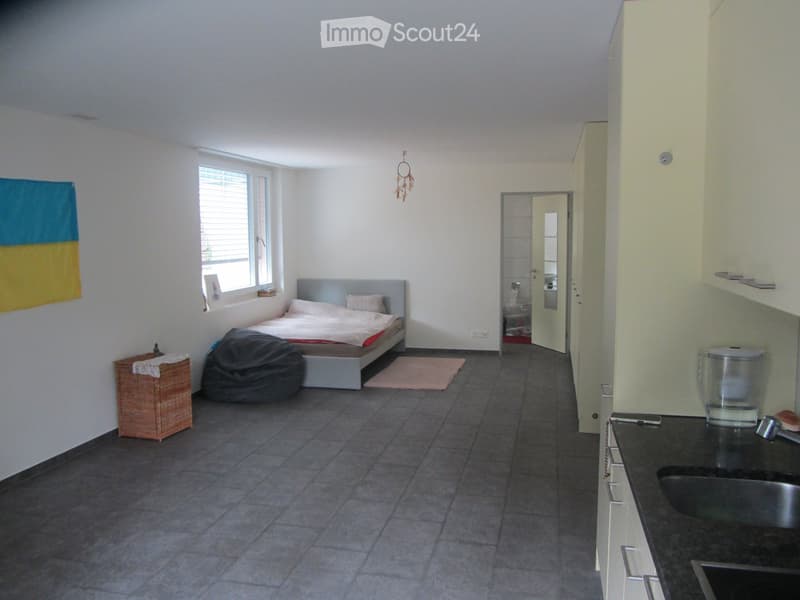 Furnished Room. The image shows a furnished room with a bed, a wicker basket, a bean bag chair, a sink, a faucet, a mirror, and a cupboard.