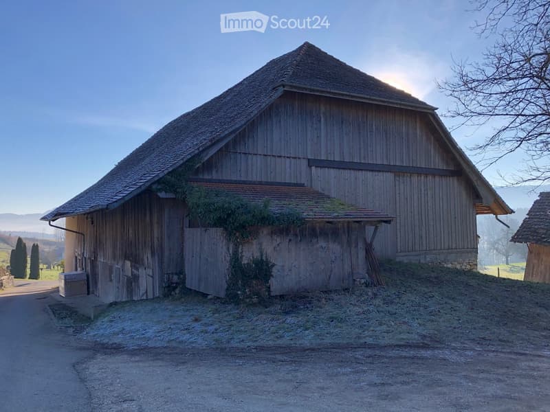 Old wooden barn with a sloped roof and walls with some vines