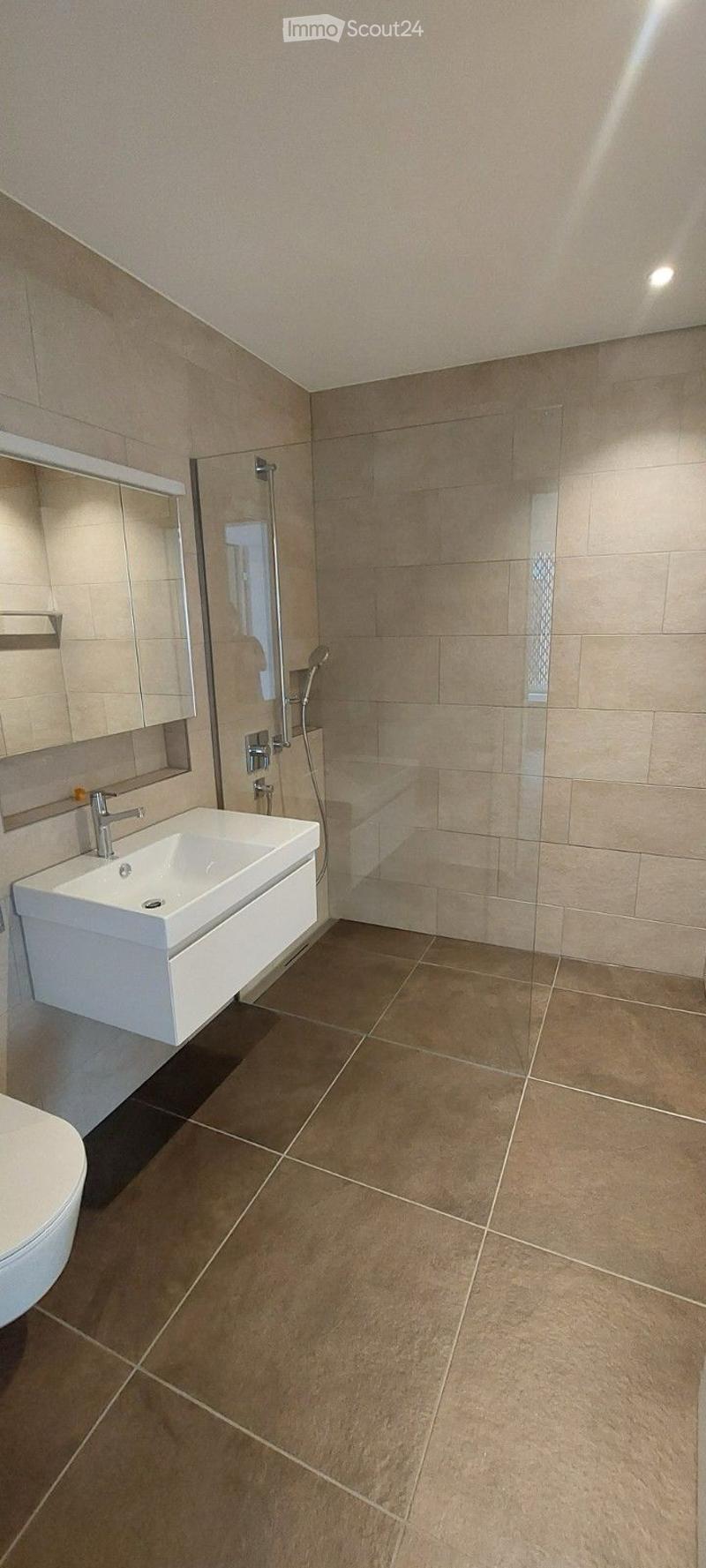 Modern bathroom with a white sink, chrome faucet, mirror cabinet, toilet, and a glass-enclosed shower area.