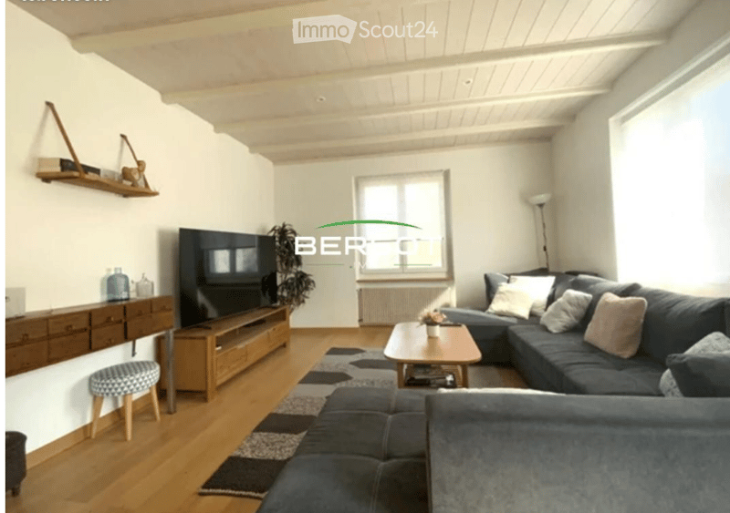 Modern living room with light wooden flooring, grey sectional sofa, coffee table, flat-screen TV on wooden stand, small plant, and decorative shelf.