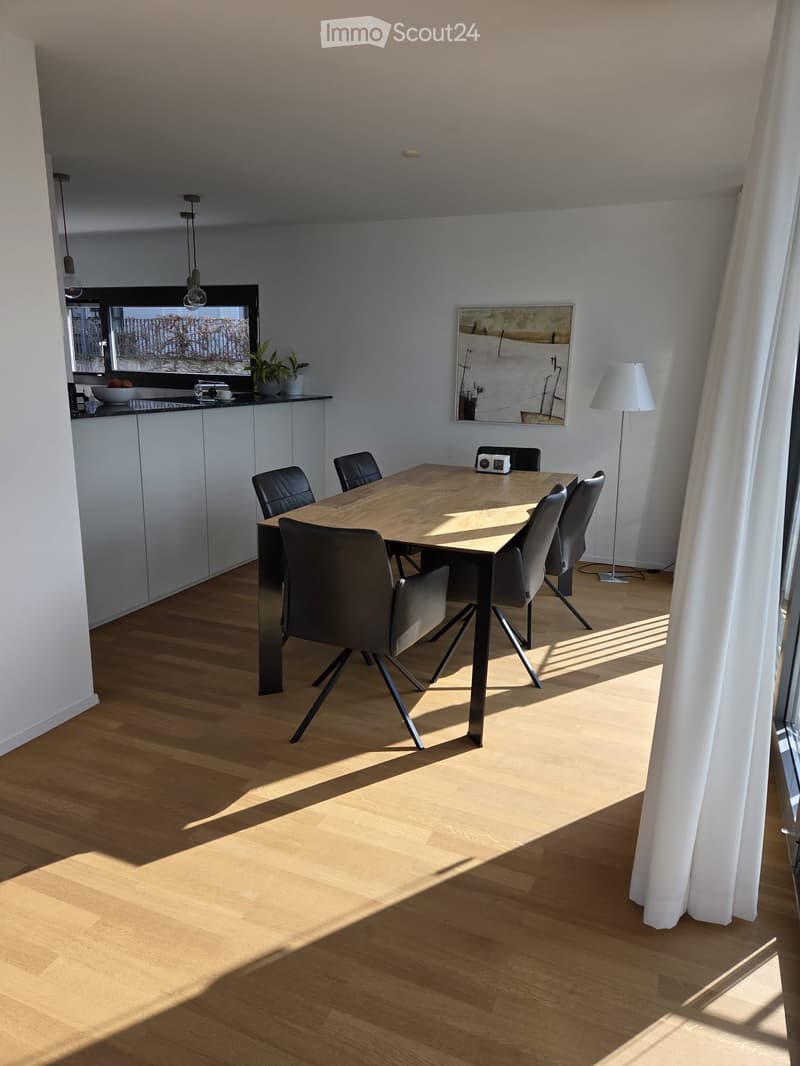 Furnished Room. Modern dining area with a wooden dining table, six black chairs, a floor lamp, and a kitchen area with cabinets, a bowl, and a cup on the counter. A plant and a picture frame are also visible.