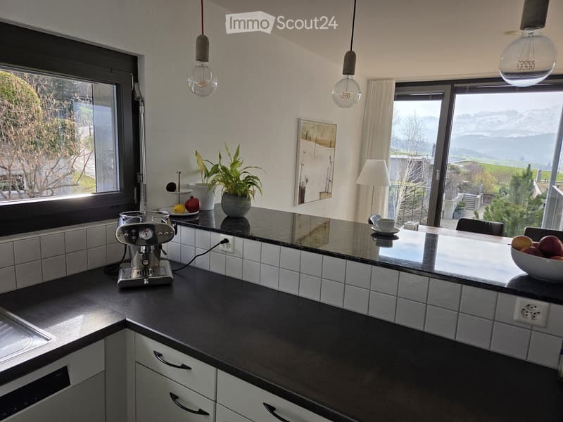 Kitchen. Modern kitchen with dark countertops, white tiled backsplash, and stainless steel appliances. Features a coffee machine, bowl of fruit, potted plant, and a view of the mountains through large windows.