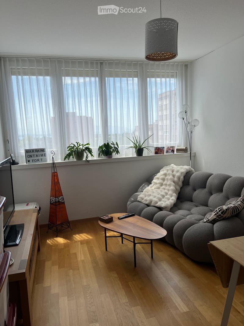 Living room with wooden flooring, grey sofa with a white throw, coffee table, potted plants on the windowsill, and a decorative lamp.