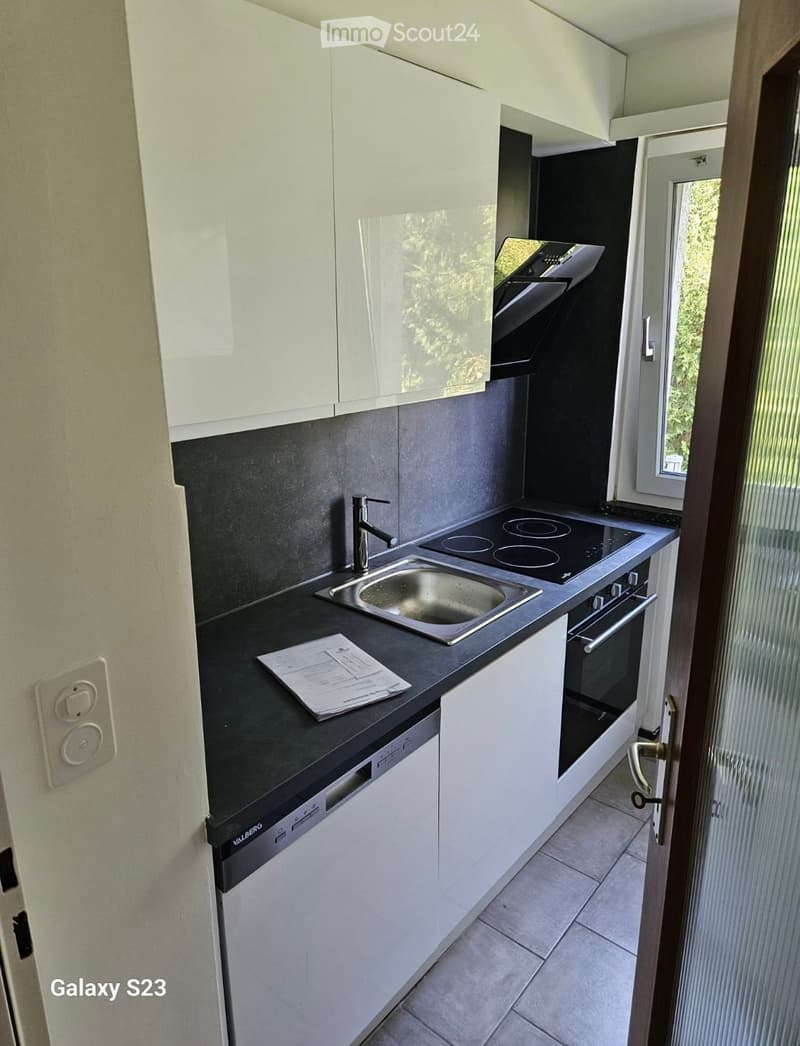 Modern kitchen with white cabinets, black countertops, stainless steel sink, and built-in appliances including an oven and dishwasher.