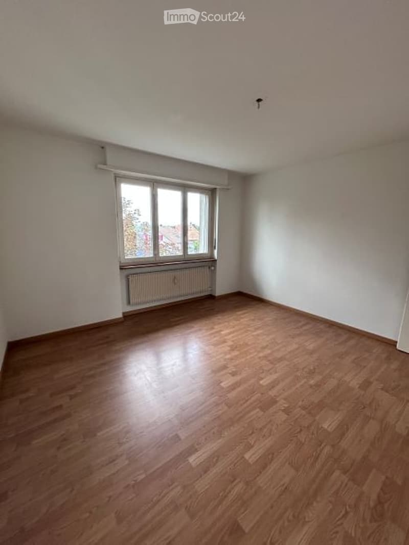 Empty room with wooden flooring, white walls, large window with blinds, radiator below the window, and a ceiling light fixture.