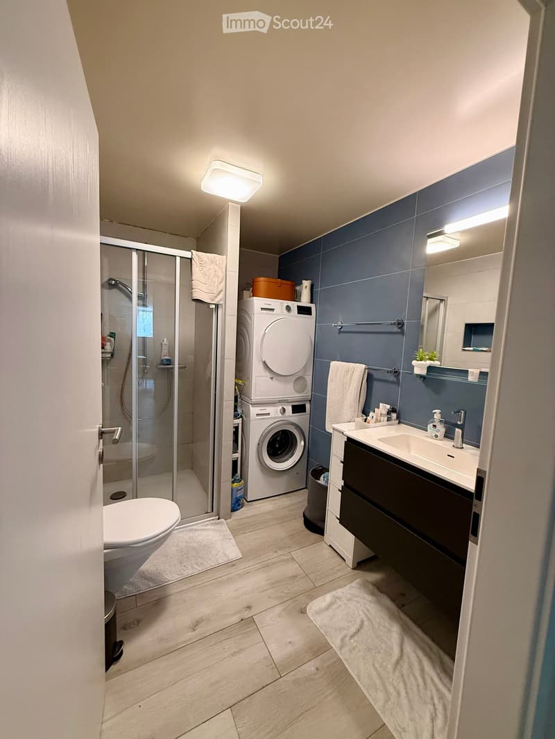 Modern bathroom with a toilet, sink, mirror, washing machine, and a glass-enclosed shower. Features include a towel rack, towels, and a small plant on the sink counter.