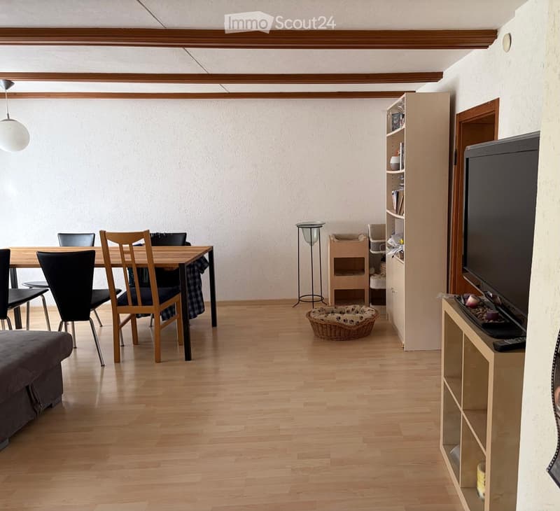 A modern living and dining area with wooden flooring, a sofa, dining table with chairs, a television on a stand, a shelf, and a cat basket.