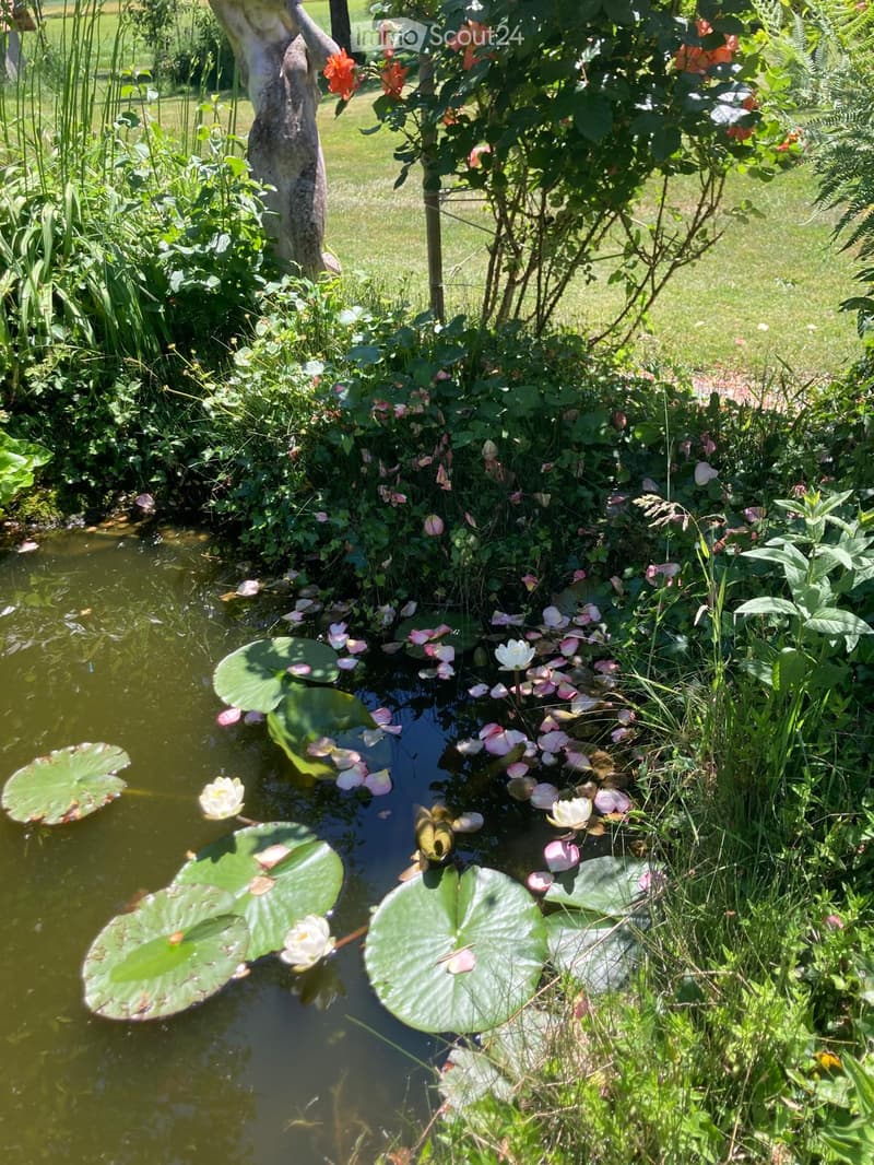 A serene garden pond with lily pads and floating flowers, surrounded by lush greenery and blooming plants.