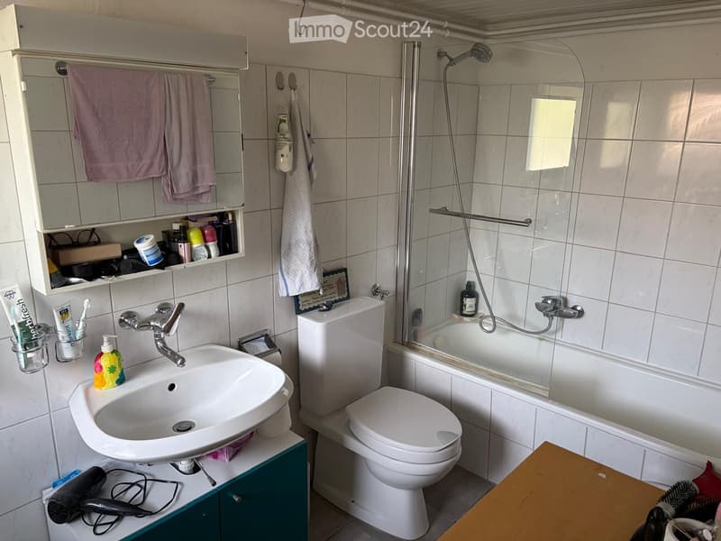 Bathroom with a sink, toilet, mirror, shower, and various toiletries. The sink has a faucet and a bottle of soap, and there is a towel hanging on the wall. A mirror cabinet holds various toiletries, and a hair dryer is placed on a cabinet next to the sink