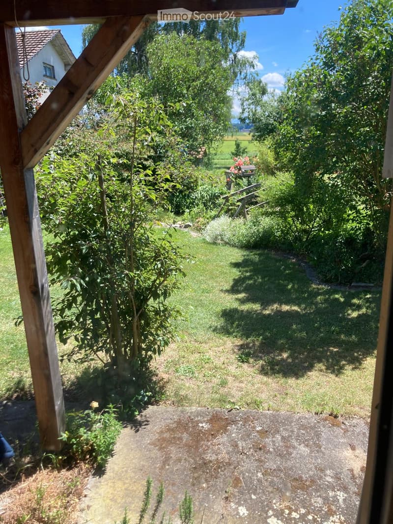 Garden area with a mix of grass, trees, and a small wooden bench, viewed from a covered patio.