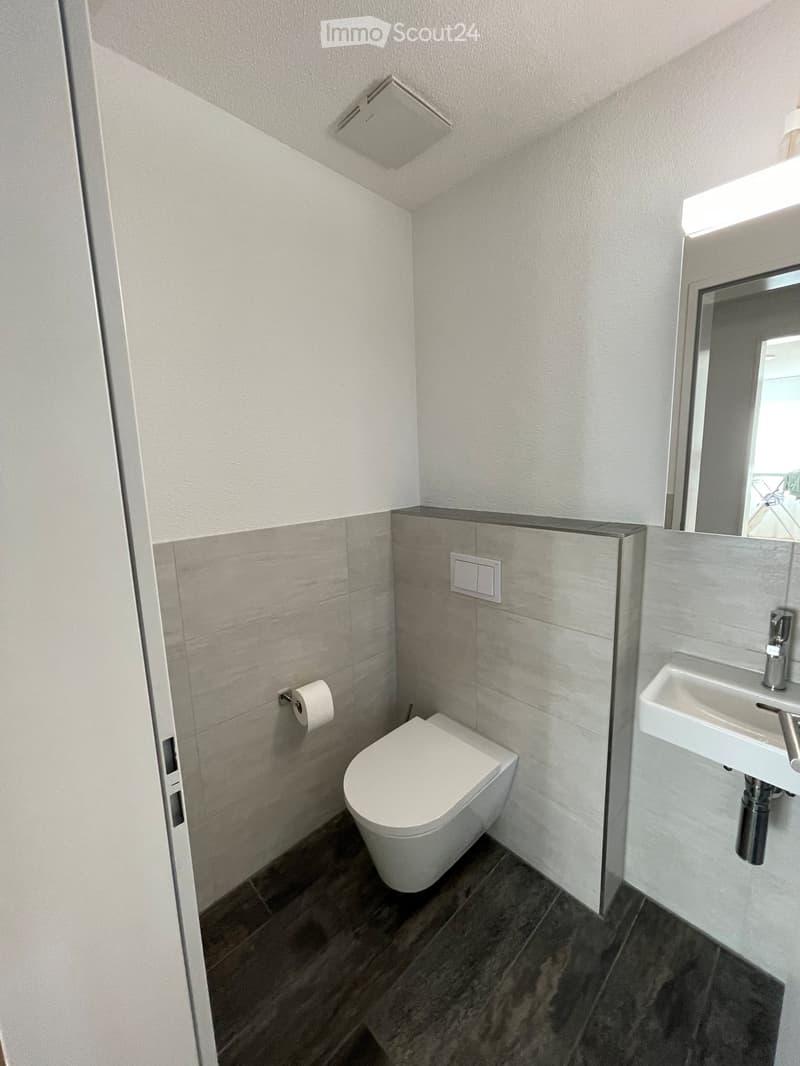 Modern bathroom with a toilet, sink, mirror, and toilet paper holder. The walls are tiled in a light grey color, and the floor is dark grey tiled.