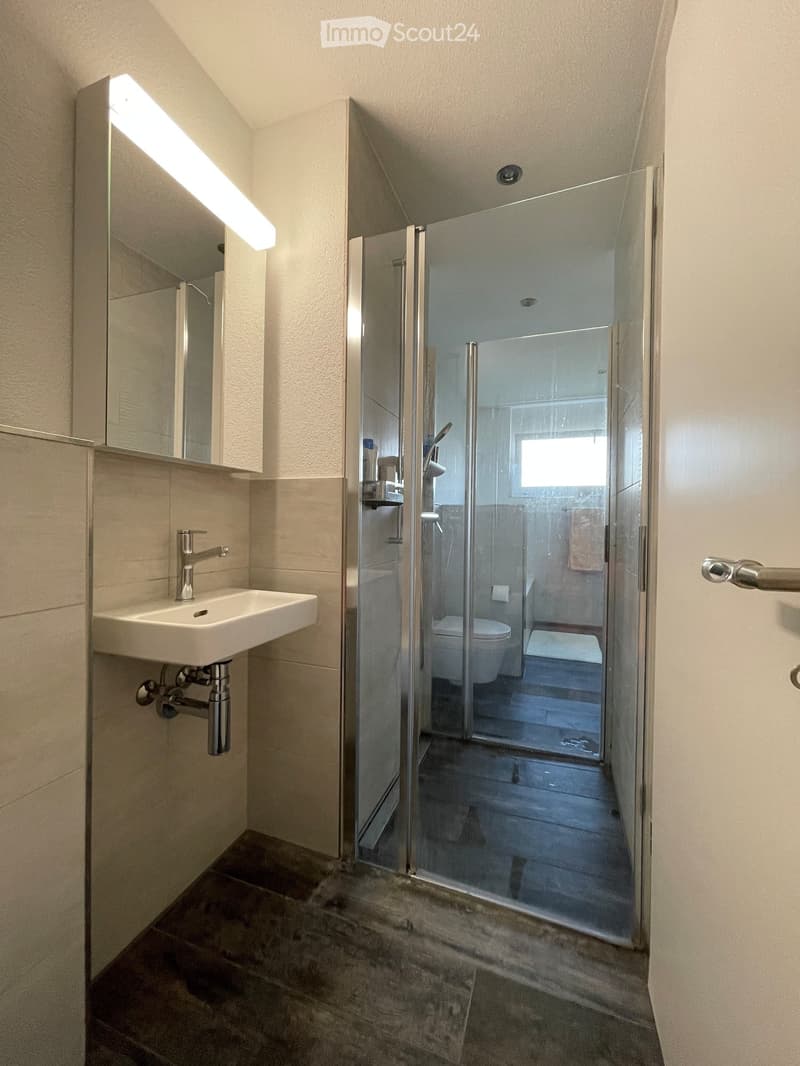 Modern bathroom with a white sink, chrome faucet, mirrored cabinet, and a glass-enclosed shower stall. The shower contains a toilet and a small shelf. The floor is tiled in dark stone.